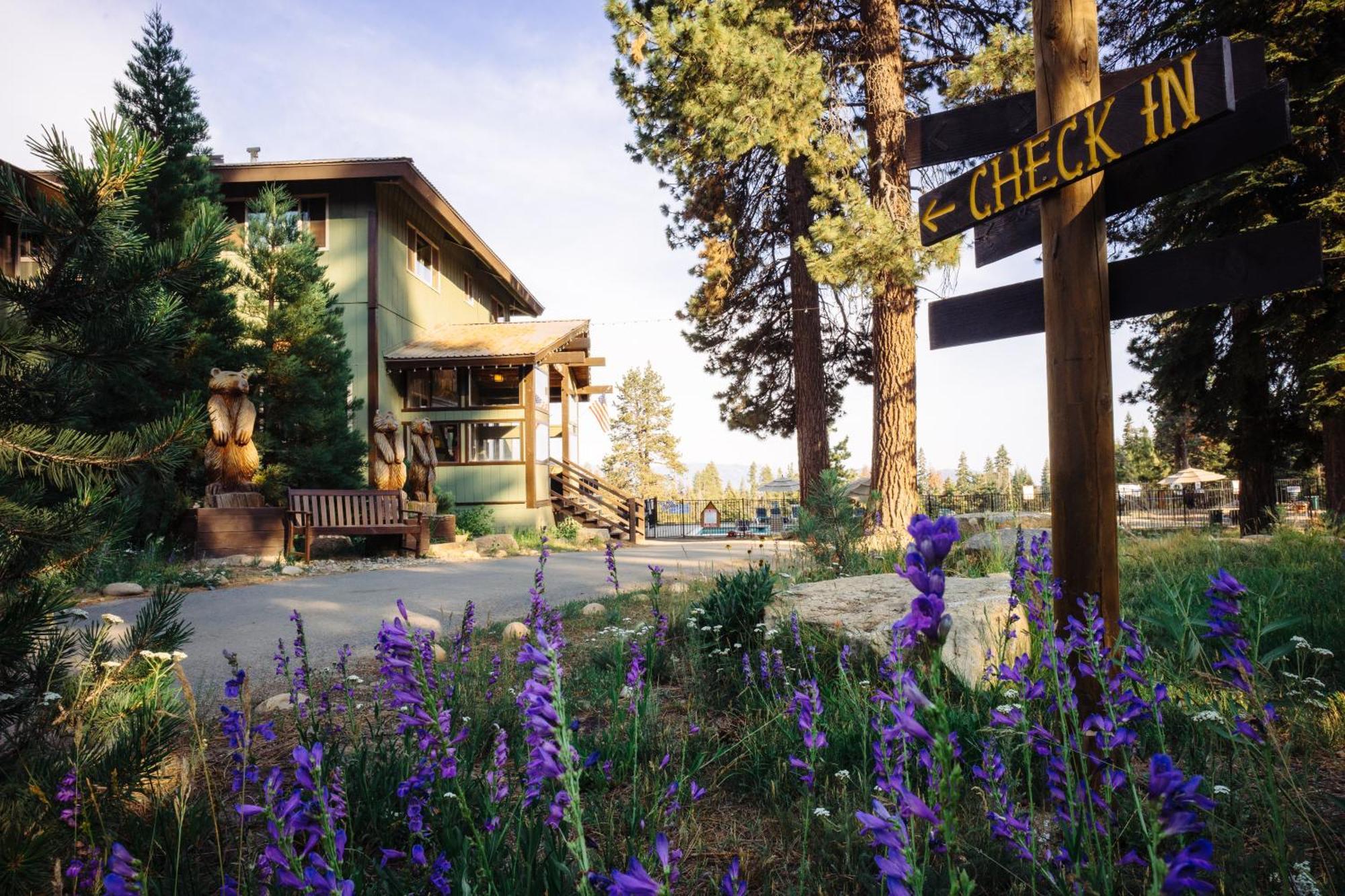 Montecito Sequoia Lodge Wilsonia Eksteriør bilde