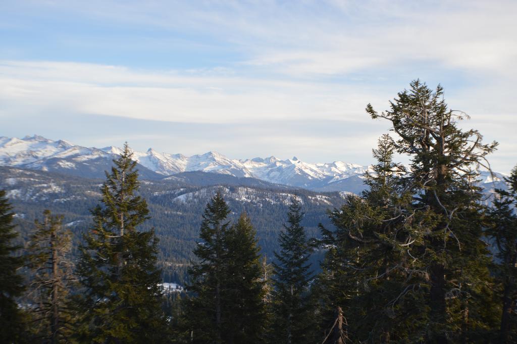 Montecito Sequoia Lodge Wilsonia Eksteriør bilde