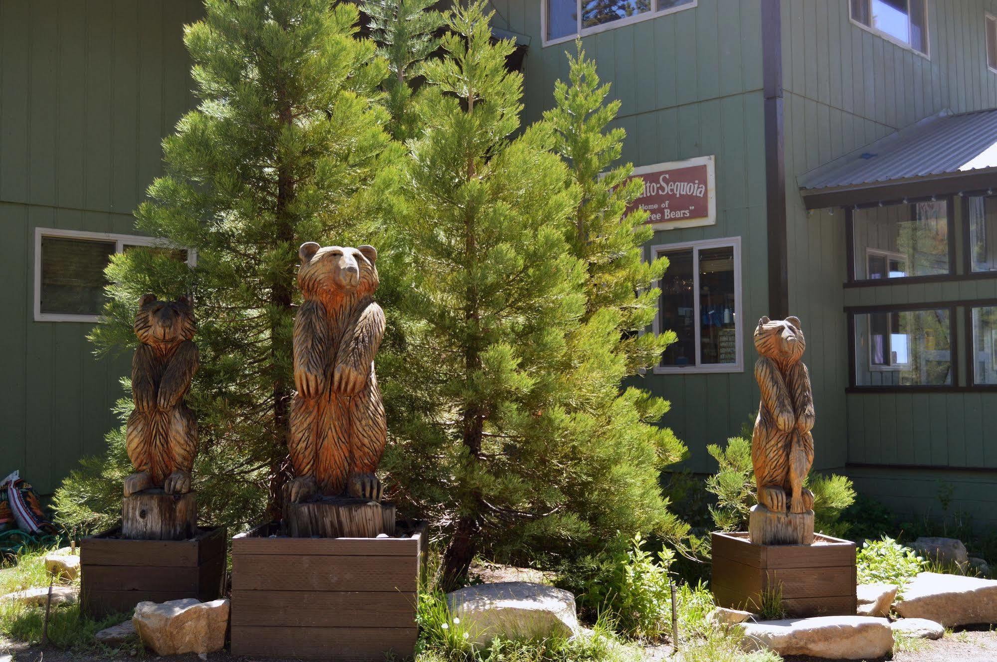 Montecito Sequoia Lodge Wilsonia Eksteriør bilde